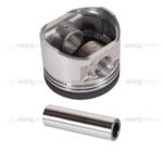 Поршень H20  0,5  в сборе с кольцами