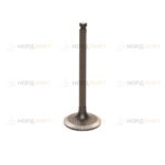 Клапан впускной 490BPG